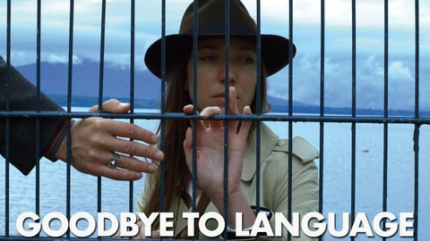 Goodbye to language. [streaming video]