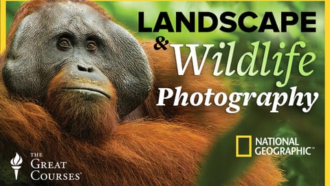 The Guide to Landscape and Wildlife Photography cover image