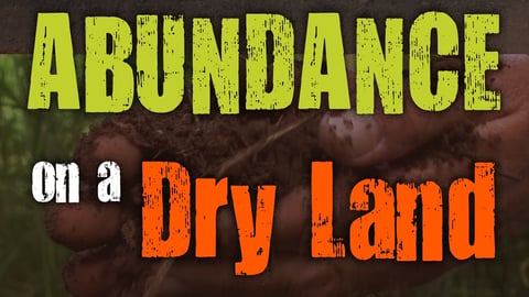 Abundance on A Dry Land