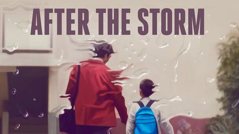After The Storm cover image