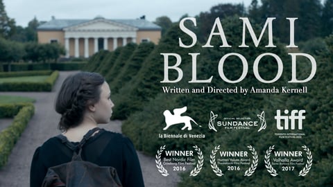 Sami blood = Sameblod cover image
