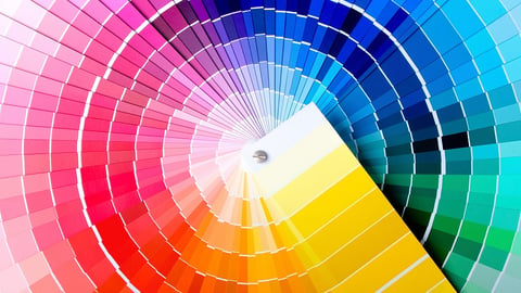 Color: Color Theory and Color and Light cover image