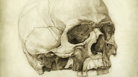 The Figure: Artistic Anatomy cover image