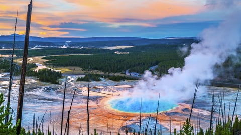 Yellowstone: Microcosm of the National Parks cover image