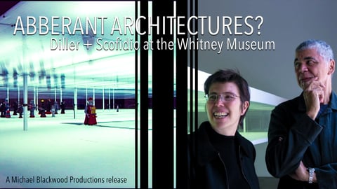 Aberrant Architectures? - Diller and Scofidio at the Whitney Museum