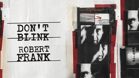 Don't Blink: Robert Frank cover image