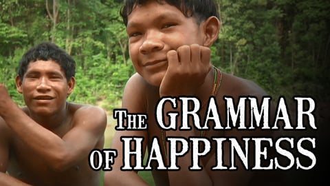 The Grammar of Happiness cover image