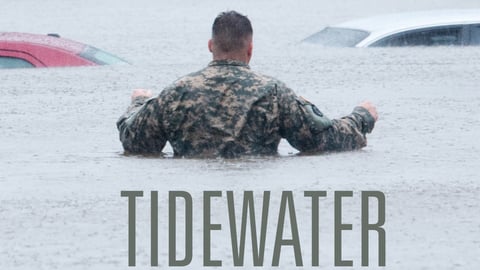 Tidewater cover image