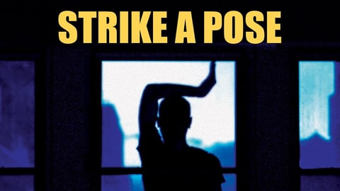 Strike a Pose cover image