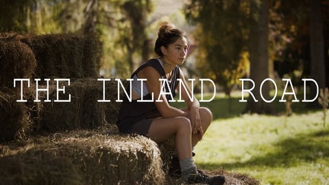 The Inland Road cover image