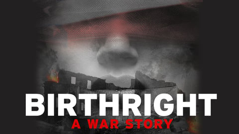 Birthright: A War Story cover image
