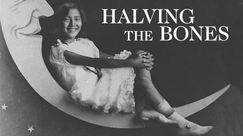 Halving the Bones cover image