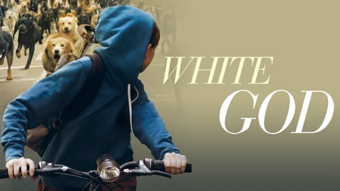 White God cover image