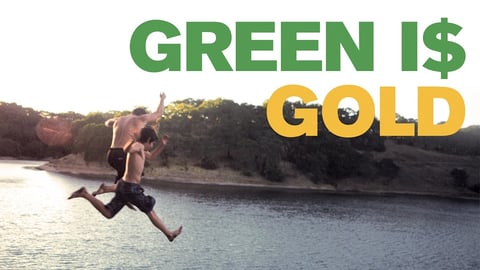 Green is Gold cover image