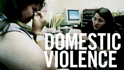 Domestic Violence cover image