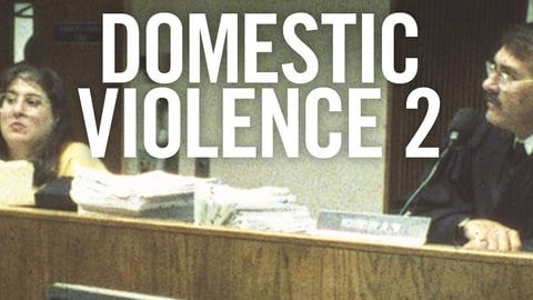 Domestic Violence 2 cover image