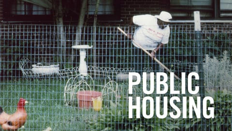 Public Housing cover image