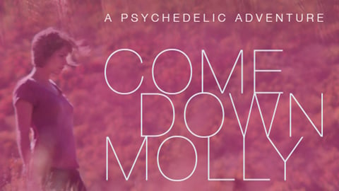 Come Down Molly cover image