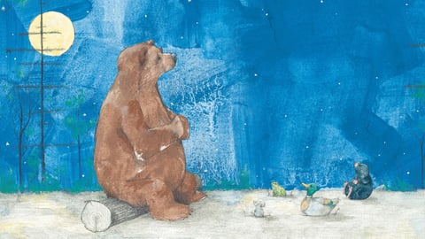 Bear Has A Story To Tell cover image
