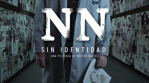 NN cover image
