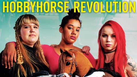 Hobbyhorse Revolution cover image
