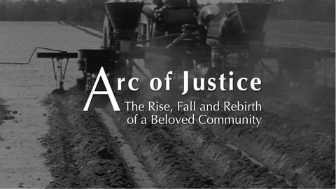 Arc of justice : the rise, fall and rebirth of a beloved community