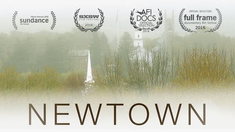 Newtown cover image