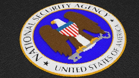 The U.S. Spy Network in Action cover image
