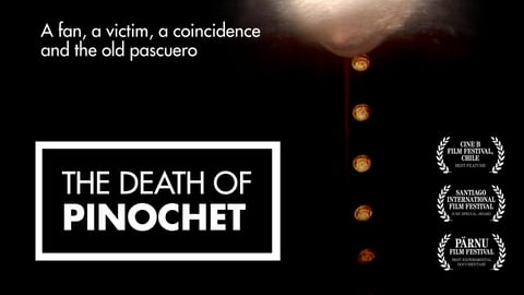 The Death of Pinochet cover image