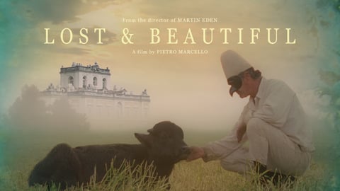 Lost and Beautiful cover image