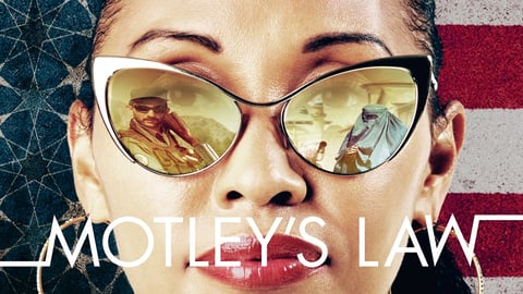 Motley's Law cover image