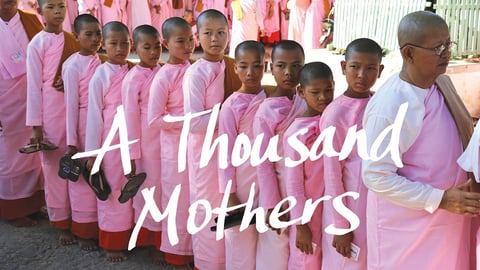 A Thousand Mothers cover image