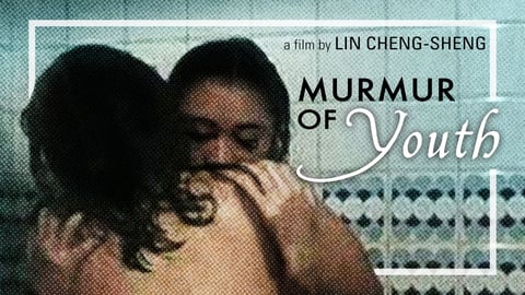 Murmur of Youth cover image