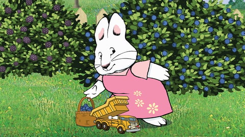 Max & Ruby Season 2. Episode 10, Ruby's Figure Eight / Ruby's Surprise Party / Ruby's Tent cover image