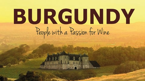 Burgundy cover image