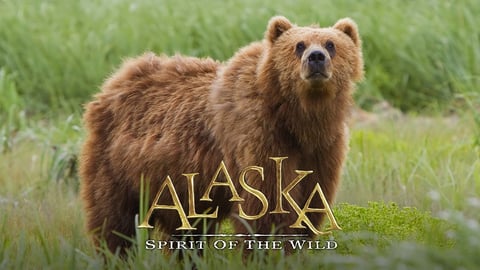 Alaska: Spirit of the Wild cover image