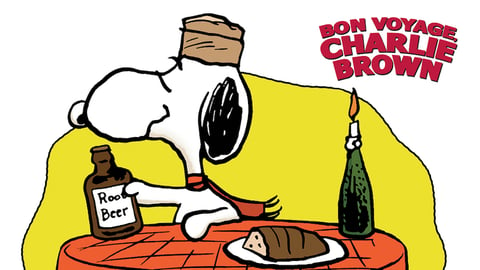 Bon Voyage Charlie Brown cover image