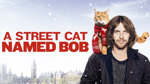 A Street Cat Named Bob cover image