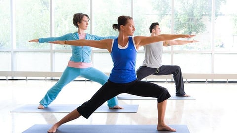 Moving Meditation: Yoga, Tai Chi, and Qi Gong cover image