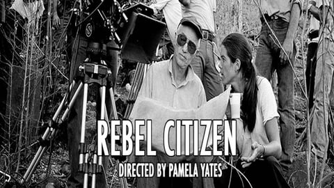 Rebel Citizen cover image