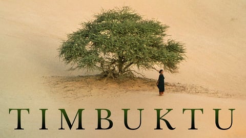 Timbuktu cover image