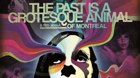 The Past is a Grotesque Animal cover image