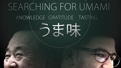 Searching for Umami cover image