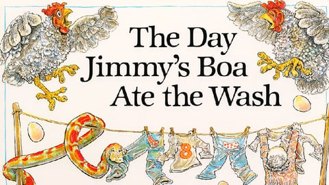The Day Jimmy's Boa Ate the Wash cover image