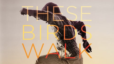 These Birds Walk cover image