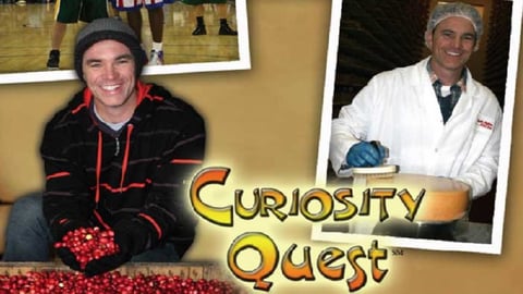 Curiosity Quest cover image