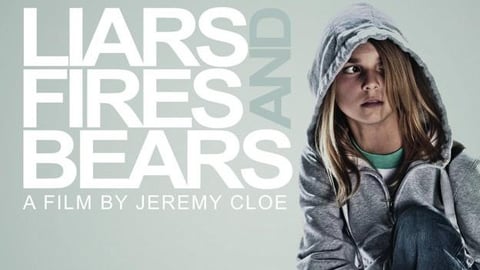 Liars, Fires And Bears cover image