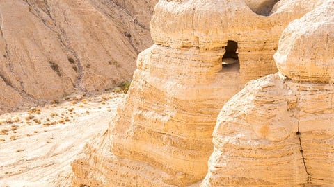 The Dead Sea Scrolls cover image