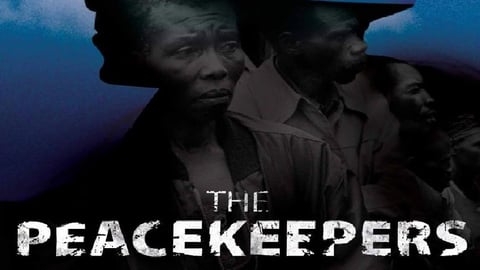 The Peacekeepers cover image