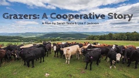 Grazers: A Cooperative Story cover image